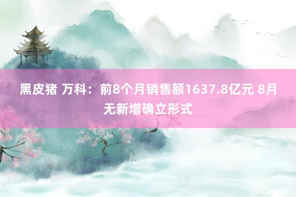 黑皮猪 万科：前8个月销售额1637.8亿元 8月无新增确立形式