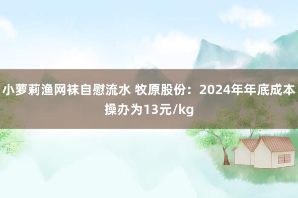 小萝莉渔网袜自慰流水 牧原股份：2024年年底成本操办为13元/kg