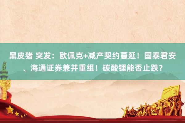黑皮猪 突发：欧佩克+减产契约蔓延！国泰君安、海通证券兼并重组！碳酸锂能否止跌？