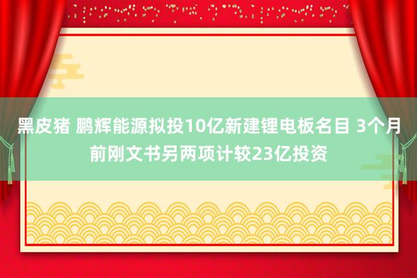 黑皮猪 鹏辉能源拟投10亿新建锂电板名目 3个月前刚文书另两项计较23亿投资