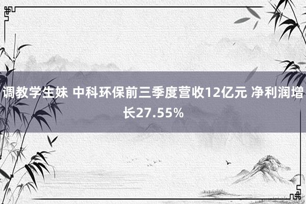 调教学生妹 中科环保前三季度营收12亿元 净利润增长27.55%