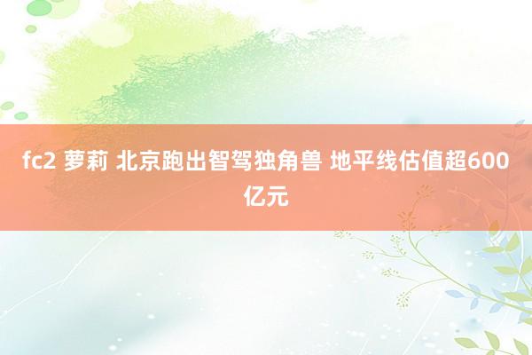 fc2 萝莉 北京跑出智驾独角兽 地平线估值超600亿元