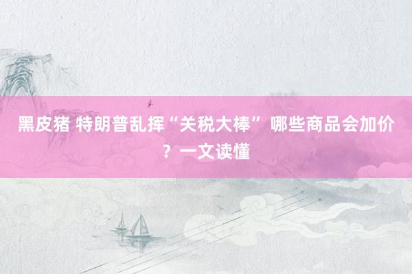 黑皮猪 特朗普乱挥“关税大棒” 哪些商品会加价？一文读懂