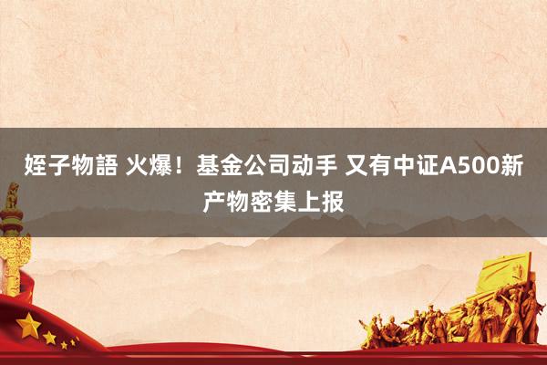 姪子物語 火爆！基金公司动手 又有中证A500新产物密集上报