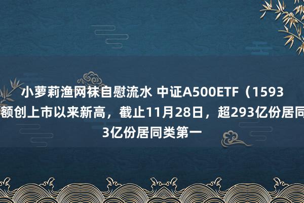 小萝莉渔网袜自慰流水 中证A500ETF（159338）份额创上市以来新高，截止11月28日，超293亿份居同类第一