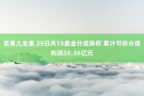 浆果儿全集 29日共15基金分成除权 累计可供分拨利润38.36亿元