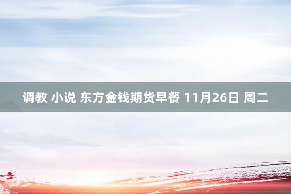 调教 小说 东方金钱期货早餐 11月26日 周二