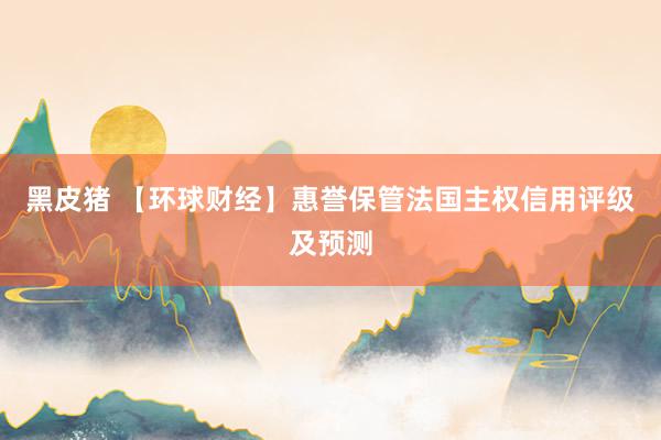 黑皮猪 【环球财经】惠誉保管法国主权信用评级及预测