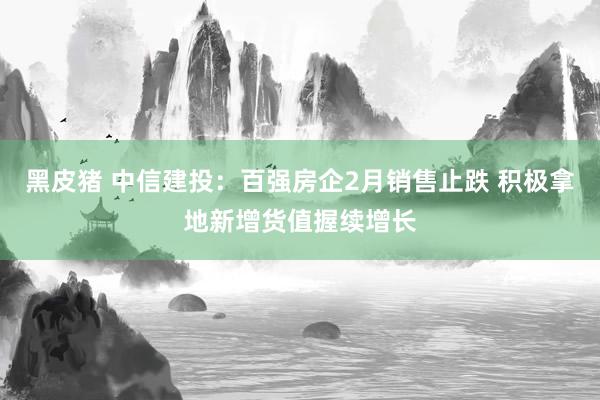 黑皮猪 中信建投：百强房企2月销售止跌 积极拿地新增货值握续增长